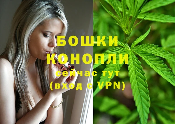 ГАЛЛЮЦИНОГЕННЫЕ ГРИБЫ Богданович