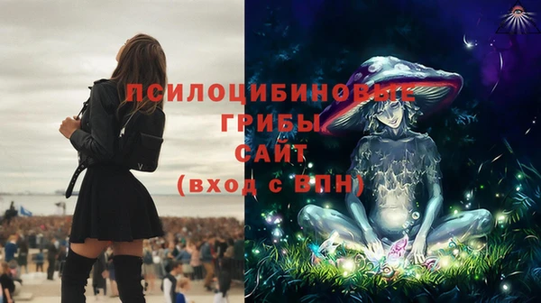 прущий лед Белокуриха