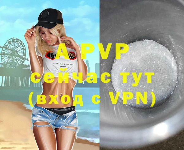 молекула духа Белоозёрский