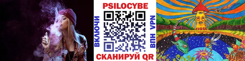 где купить наркоту Высоцк Псилоцибиновые грибы прущие грибы